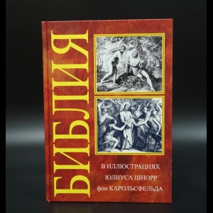 Коллектив авторов - Библия в иллюстрациях Юлиуса Шнорр фон Карольсфельда