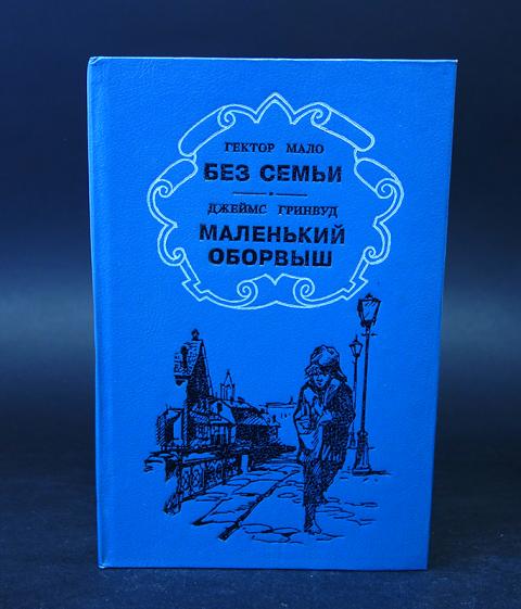 Без семьи книга