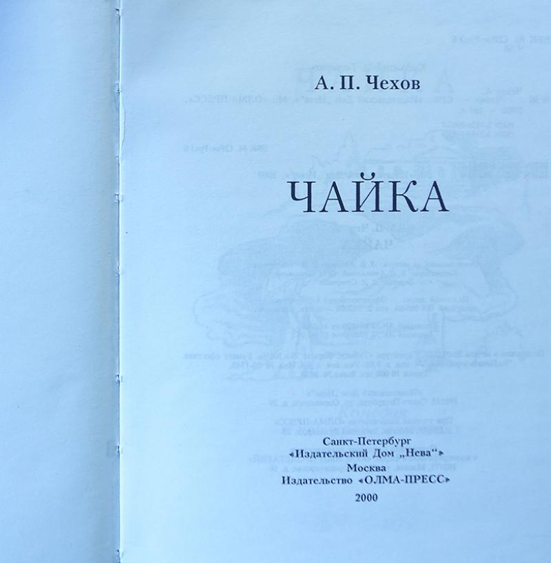 Чайка читать краткое содержание. Чехов Чайка иллюстрации. Чехов Чайка анализ.